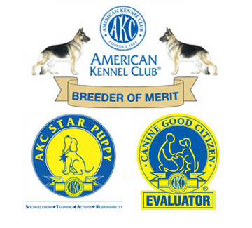 AKC Merit